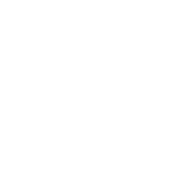 خبراء الاداء